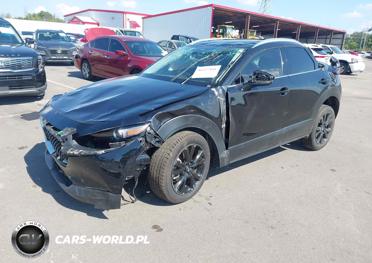 2023 Mazda Cx-30 2.5 Turbo Premium VIN:3MVDMBDY7PM554918 - 2