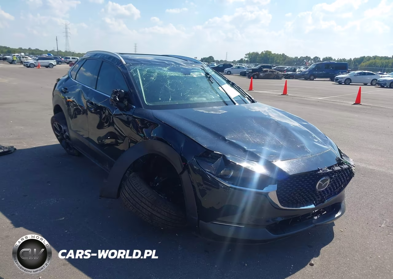 2023 Mazda Cx-30 2.5 Turbo Premium VIN:3MVDMBDY7PM554918 - 6