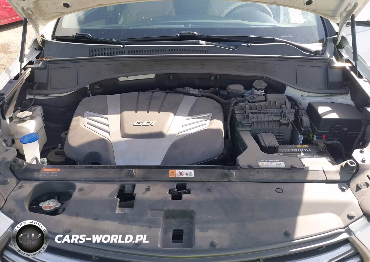 2017 Hyundai Santa Fe Se Ultimate VIN:KM8SR4HF2HU210906 - 10