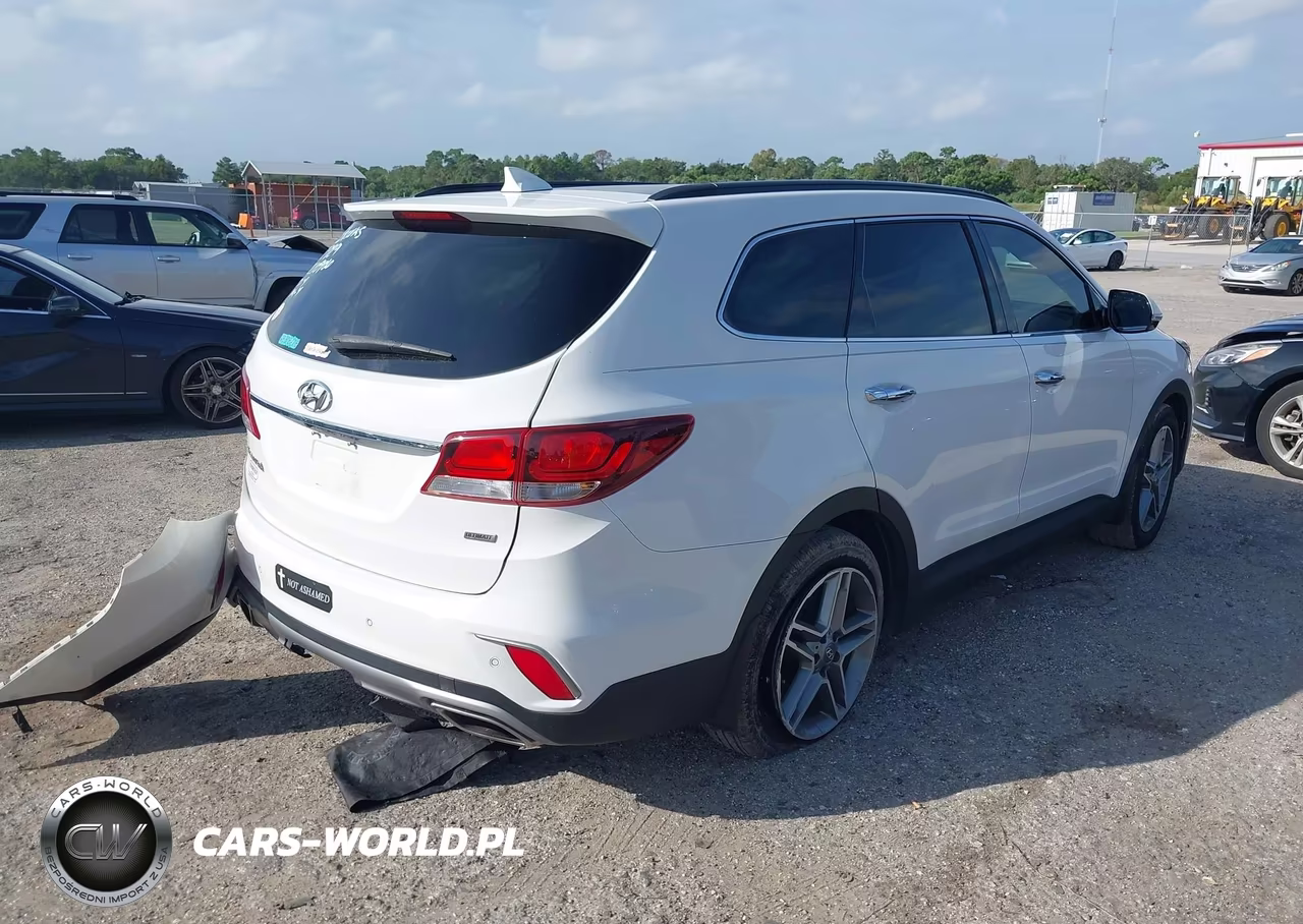 2017 Hyundai Santa Fe Se Ultimate VIN:KM8SR4HF2HU210906 - 4