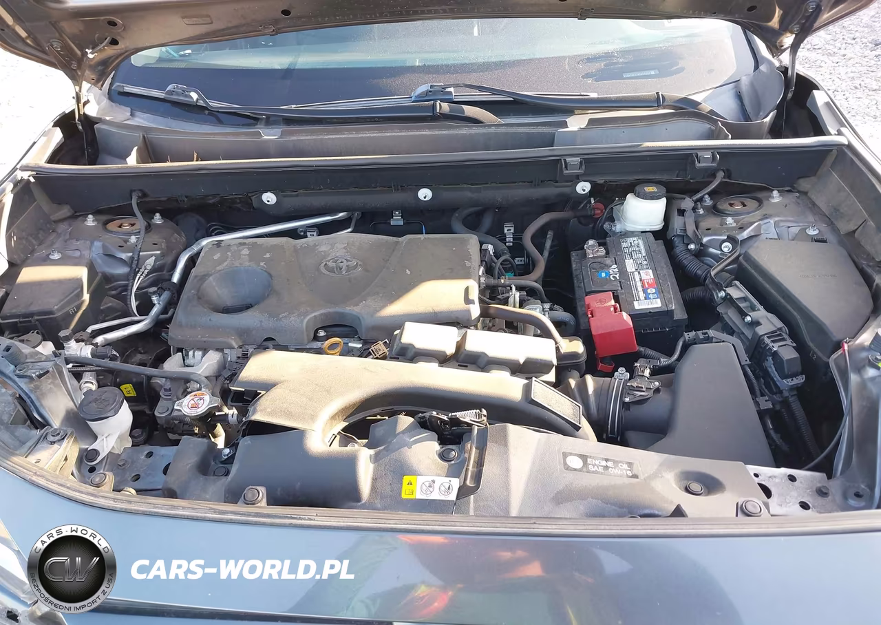 2019 Toyota Rav4 Xle Premium VIN:2T3A1RFV7KC028984 - 10