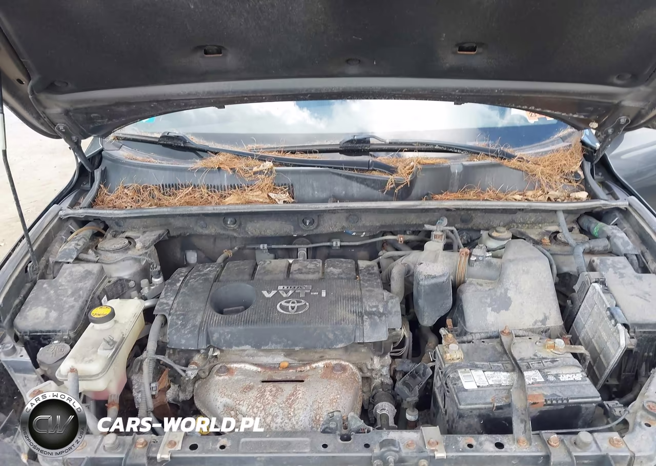 2010 Toyota Rav4 Sport VIN:JTMRF4DV7AD029301 - 10