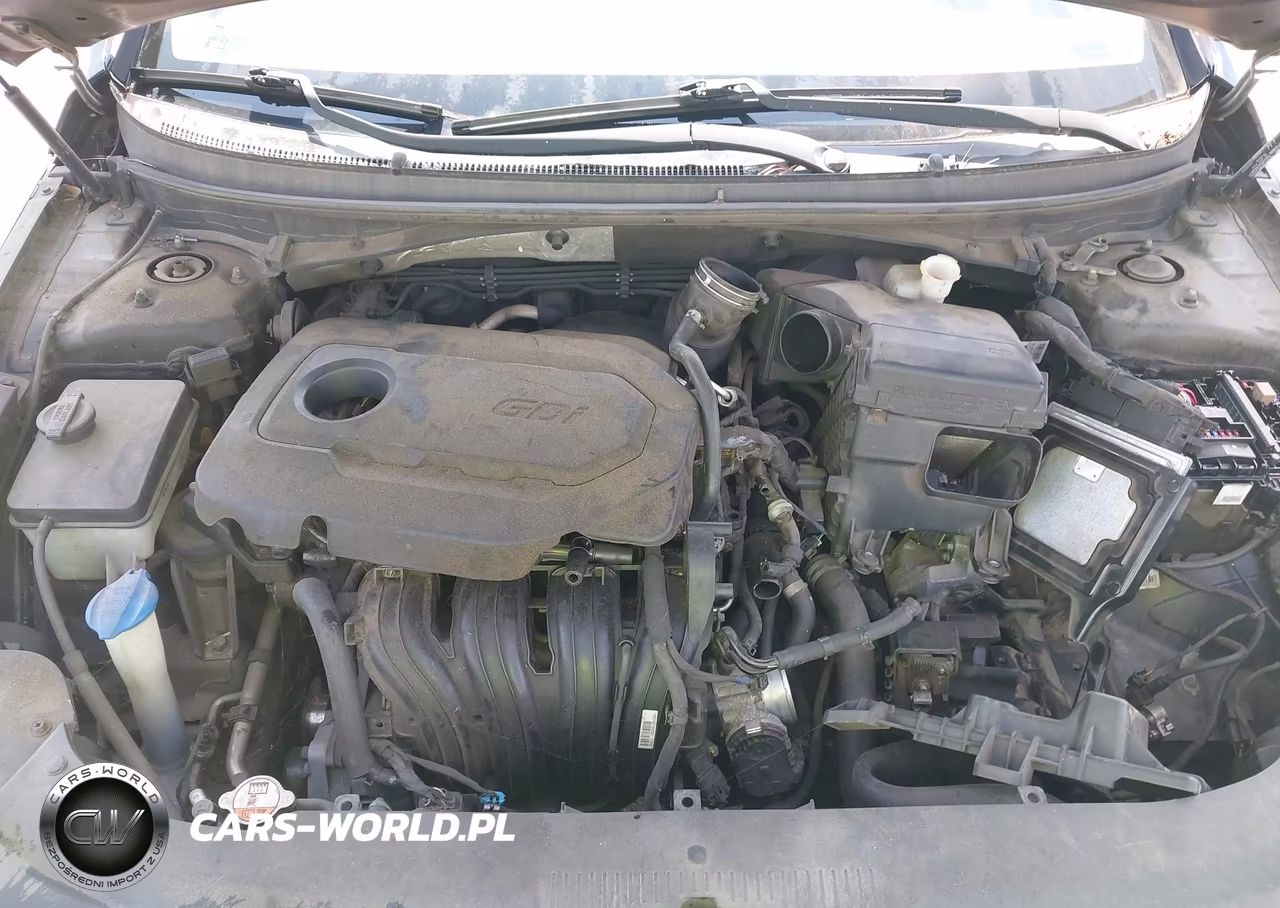 2016 Hyundai Sonata VIN:5NPE24AF7GH403688 - 10