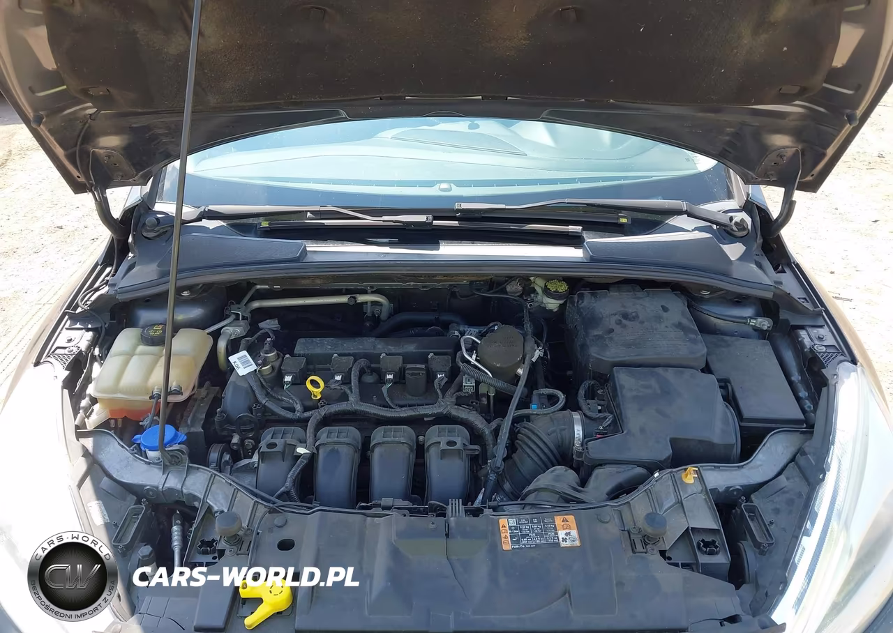 2016 Ford Focus Titanium VIN:1FADP3N23GL235449 - 10