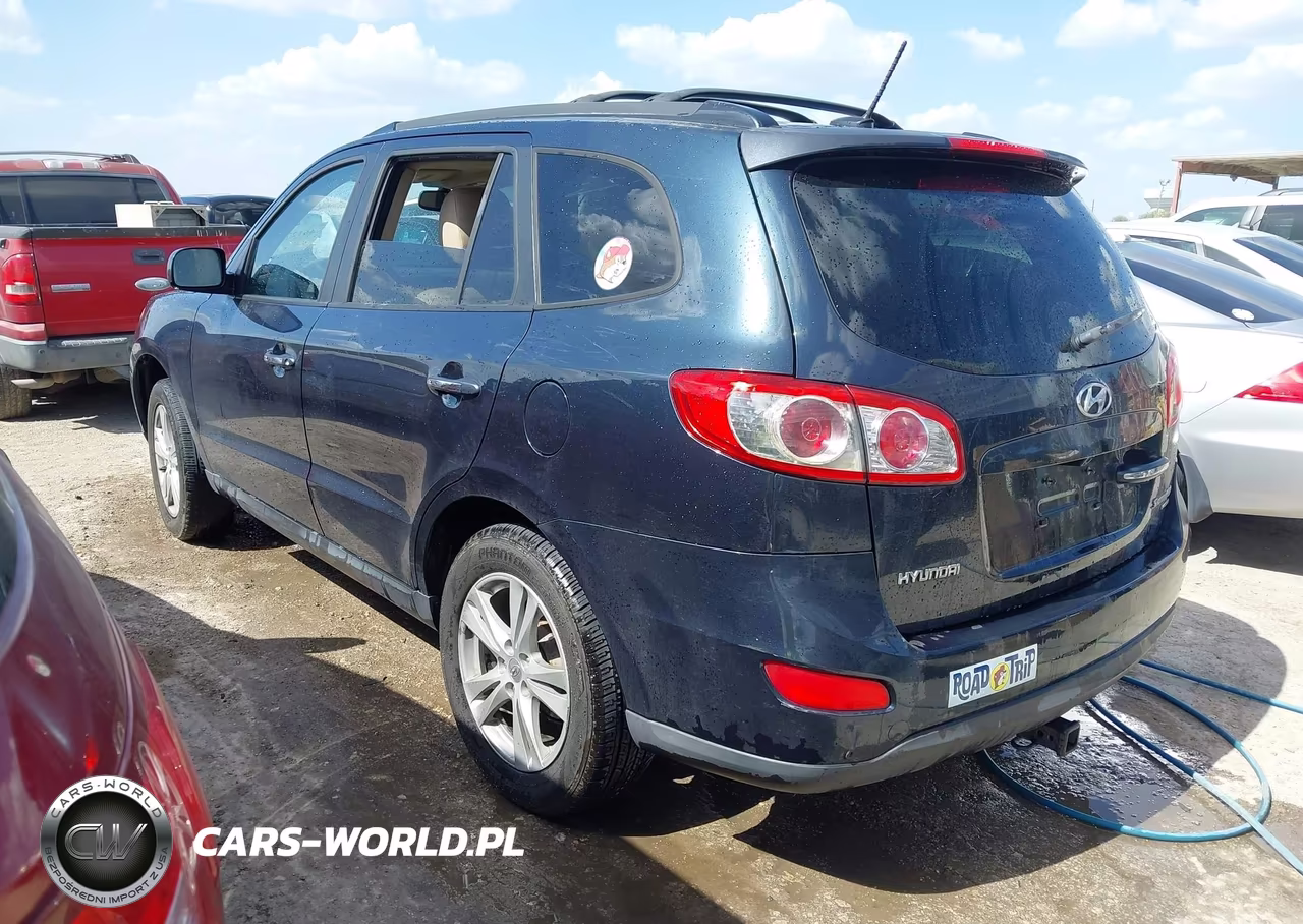 2010 Hyundai Santa Fe Limited V6 VIN:5NMSK4AG8AH340875 - 3