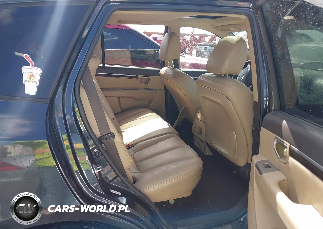 2010 Hyundai Santa Fe Limited V6 VIN:5NMSK4AG8AH340875 - 8