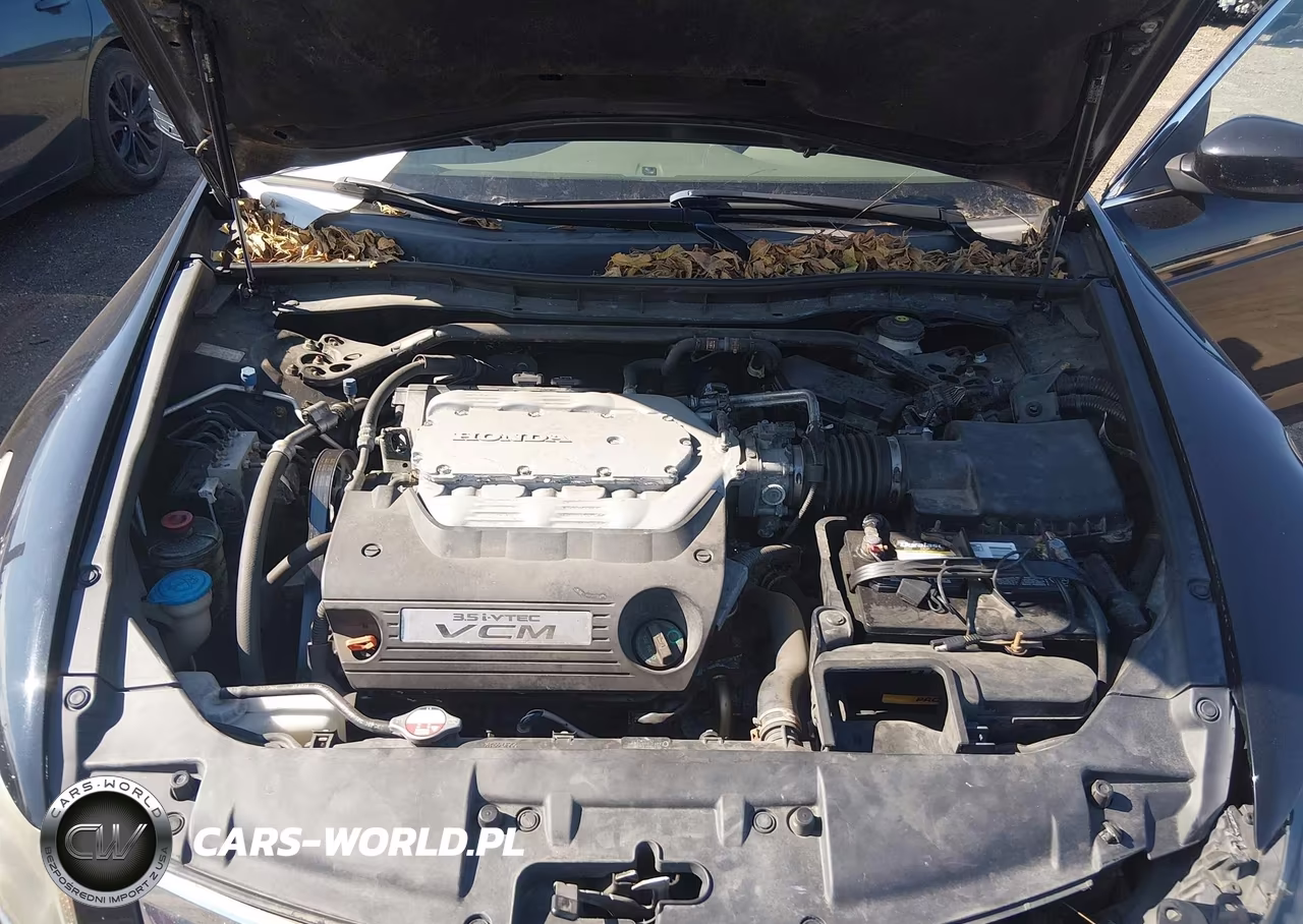2010 Honda Accord 3.5 Ex-L VIN:1HGCP3F85AA008101 - 10