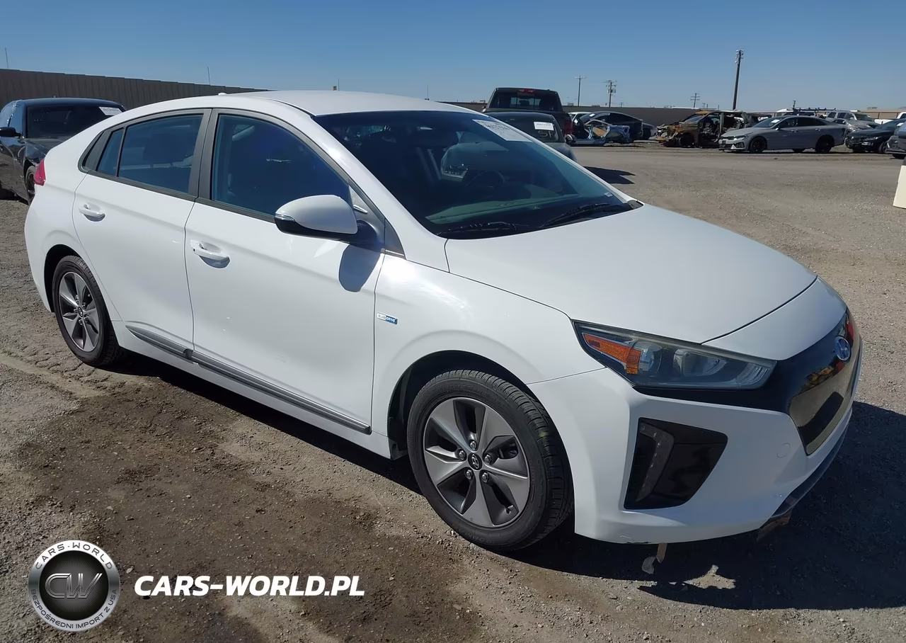 2019 Hyundai Ioniq Electric VIN:KMHC75LHXKU049348 - 1