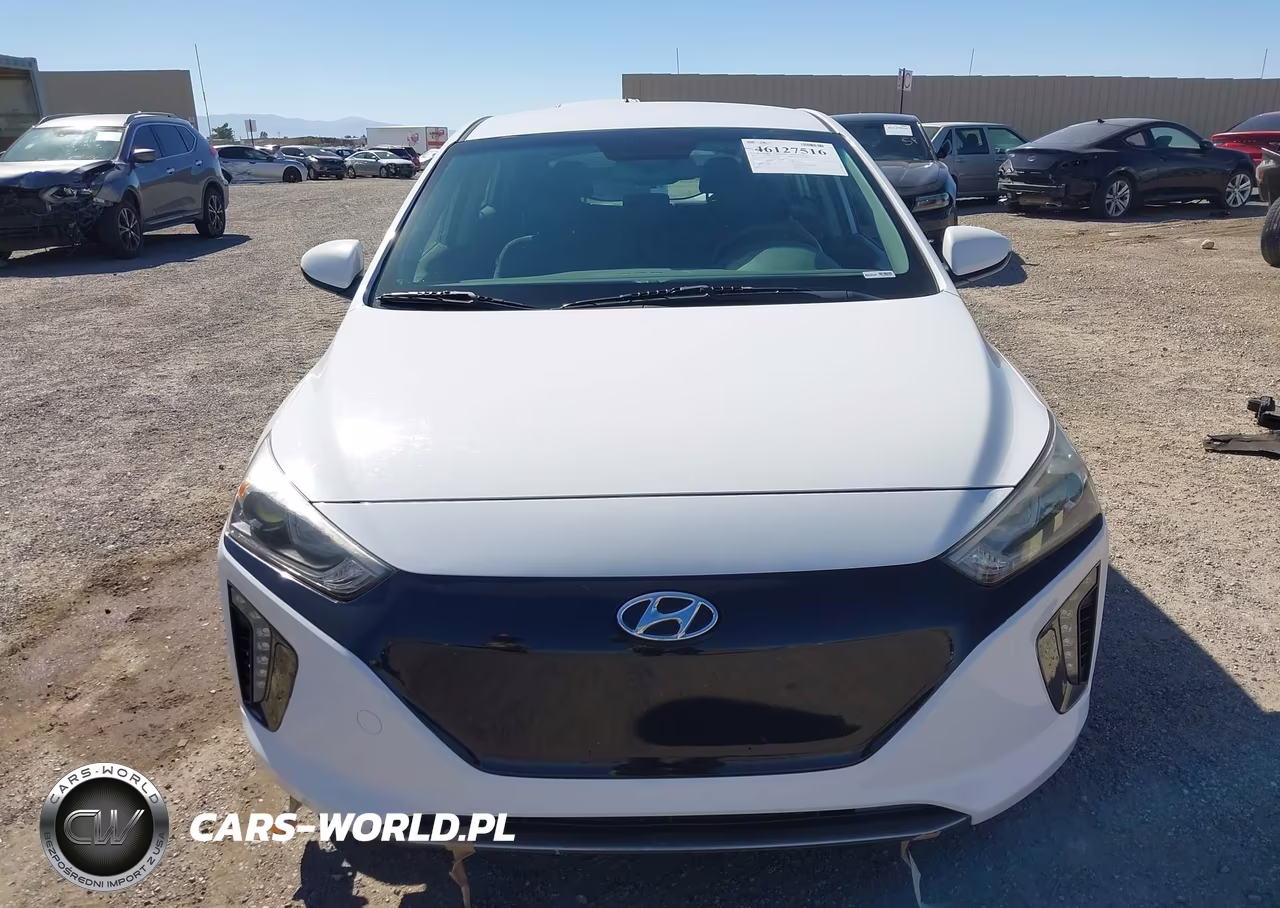 2019 Hyundai Ioniq Electric VIN:KMHC75LHXKU049348 - 13