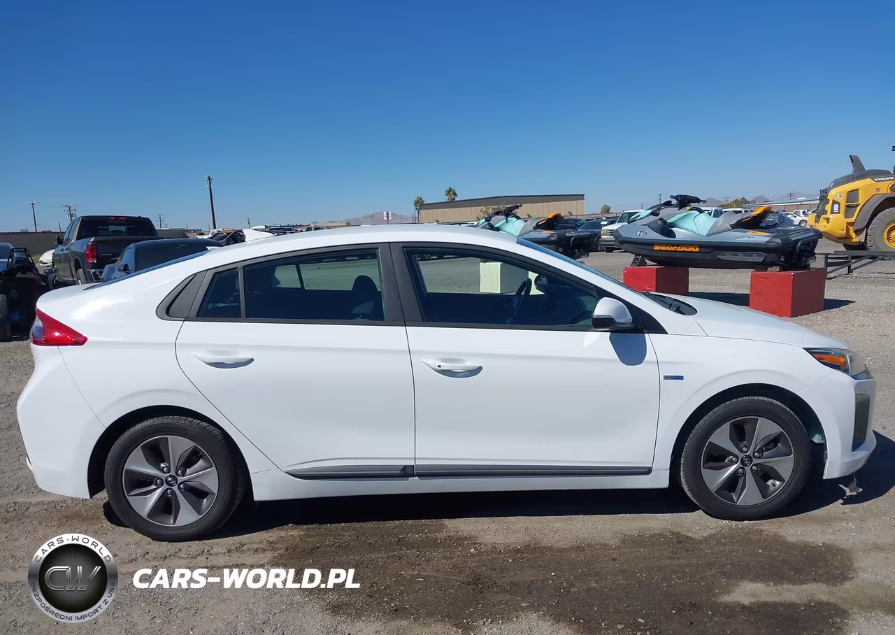 2019 Hyundai Ioniq Electric VIN:KMHC75LHXKU049348 - 14