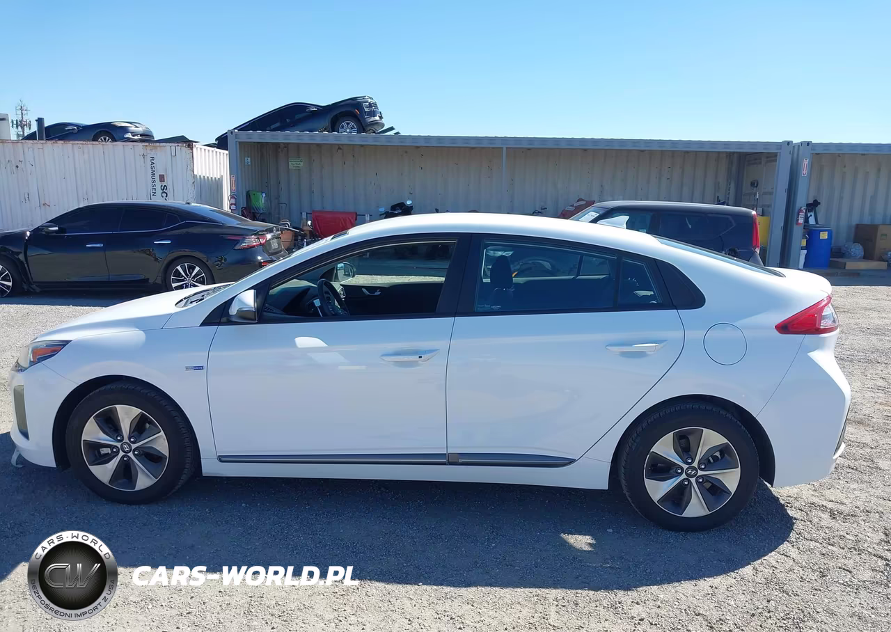 2019 Hyundai Ioniq Electric VIN:KMHC75LHXKU049348 - 15