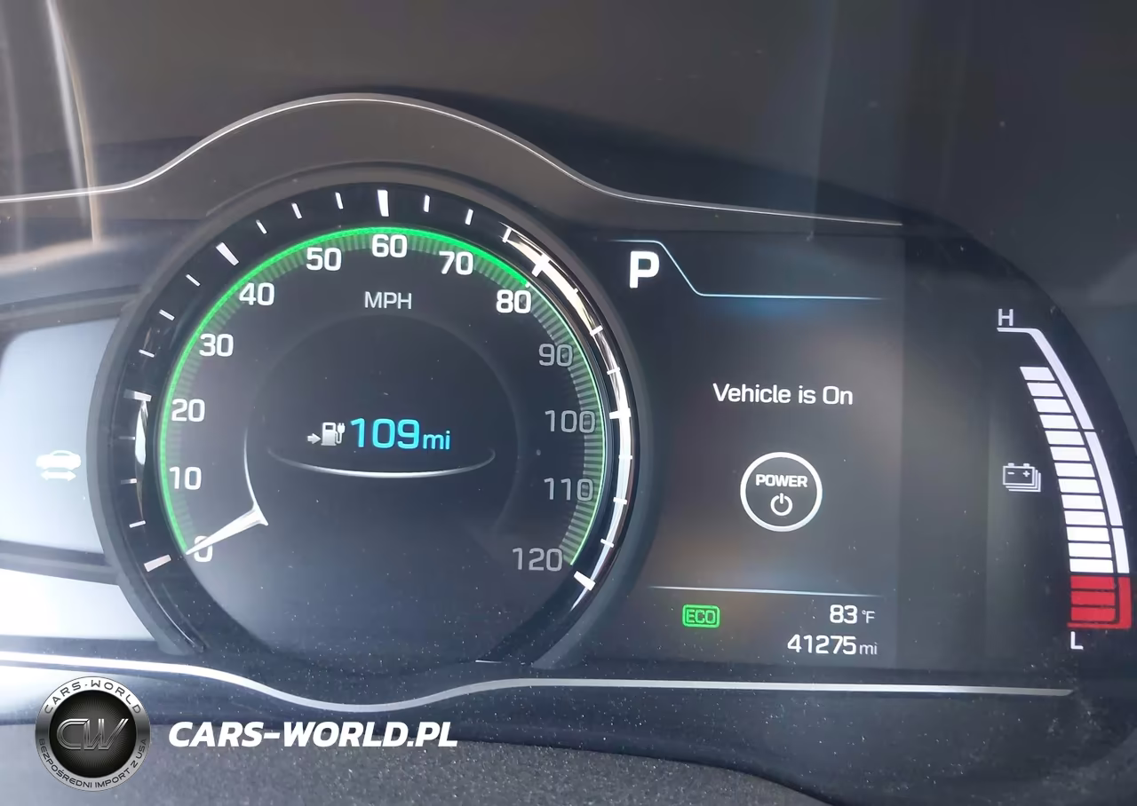 2019 Hyundai Ioniq Electric VIN:KMHC75LHXKU049348 - 16