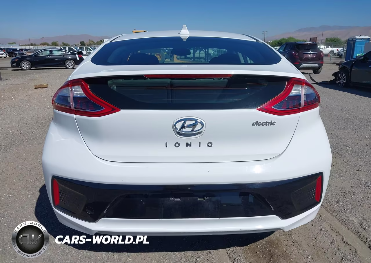 2019 Hyundai Ioniq Electric VIN:KMHC75LHXKU049348 - 17