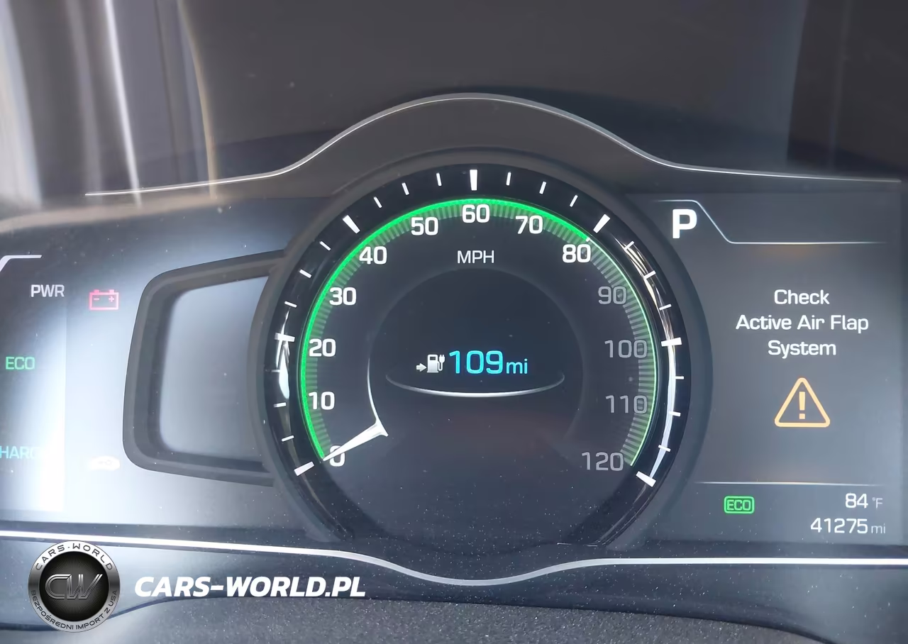 2019 Hyundai Ioniq Electric VIN:KMHC75LHXKU049348 - 18
