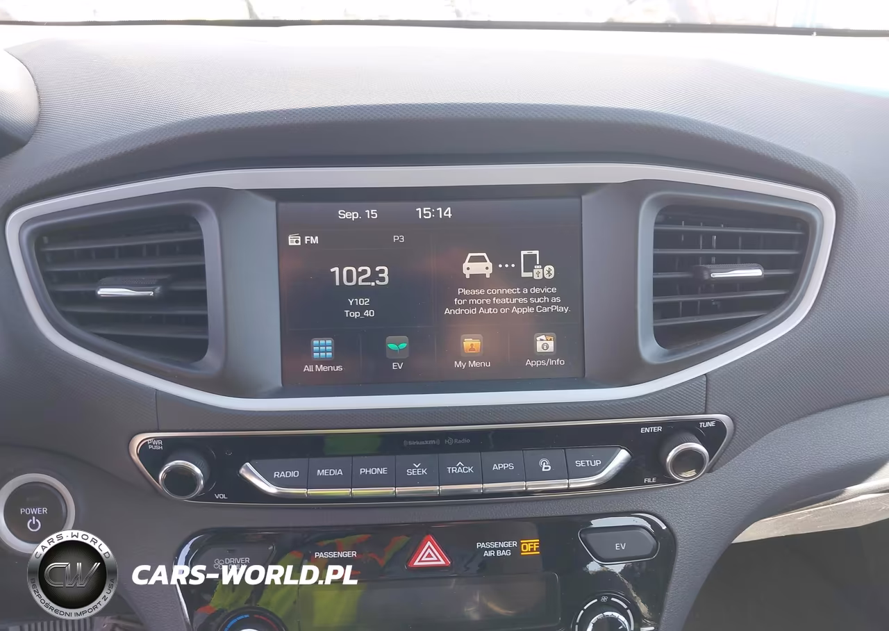 2019 Hyundai Ioniq Electric VIN:KMHC75LHXKU049348 - 19