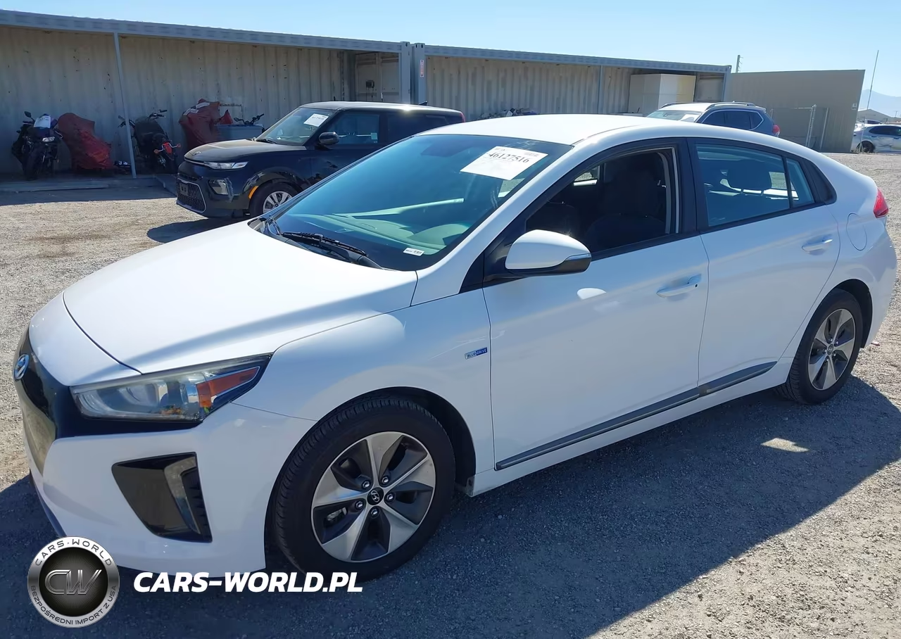 2019 Hyundai Ioniq Electric VIN:KMHC75LHXKU049348 - 2