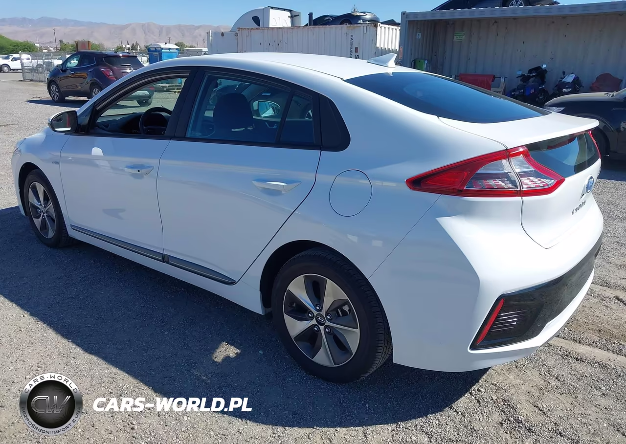 2019 Hyundai Ioniq Electric VIN:KMHC75LHXKU049348 - 3