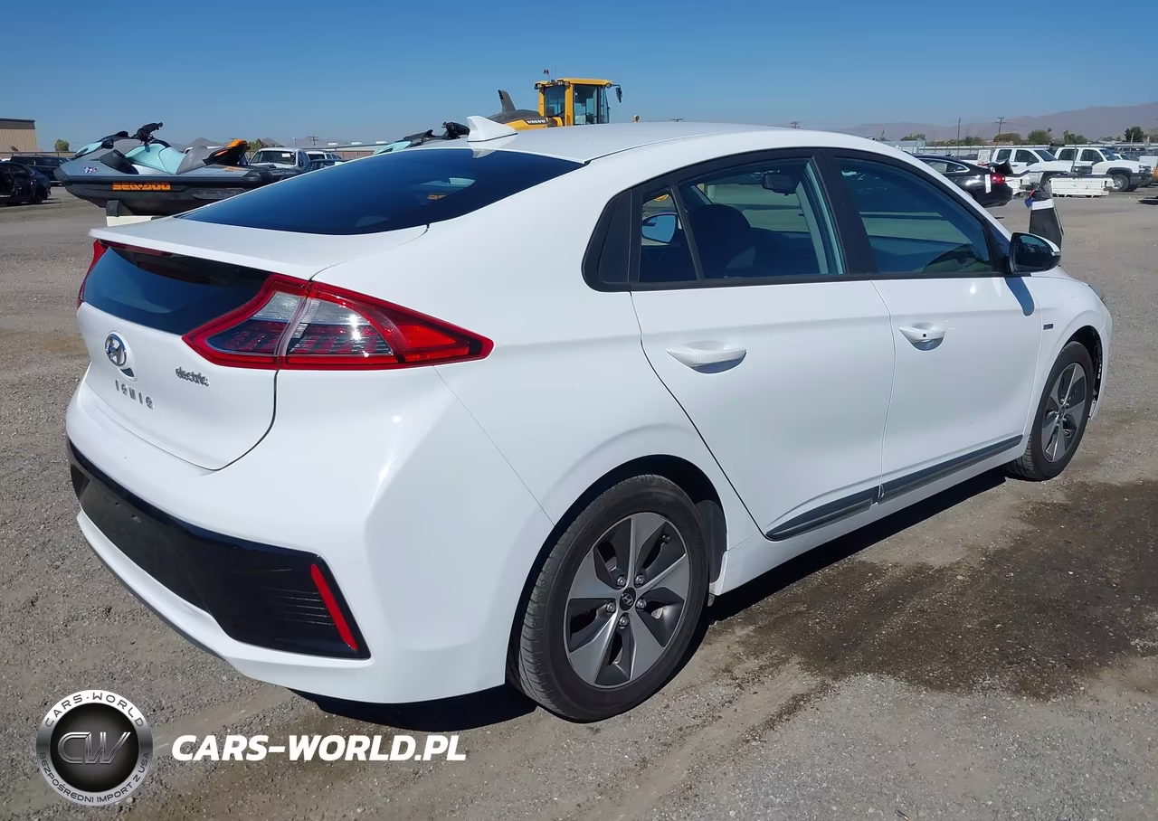 2019 Hyundai Ioniq Electric VIN:KMHC75LHXKU049348 - 4