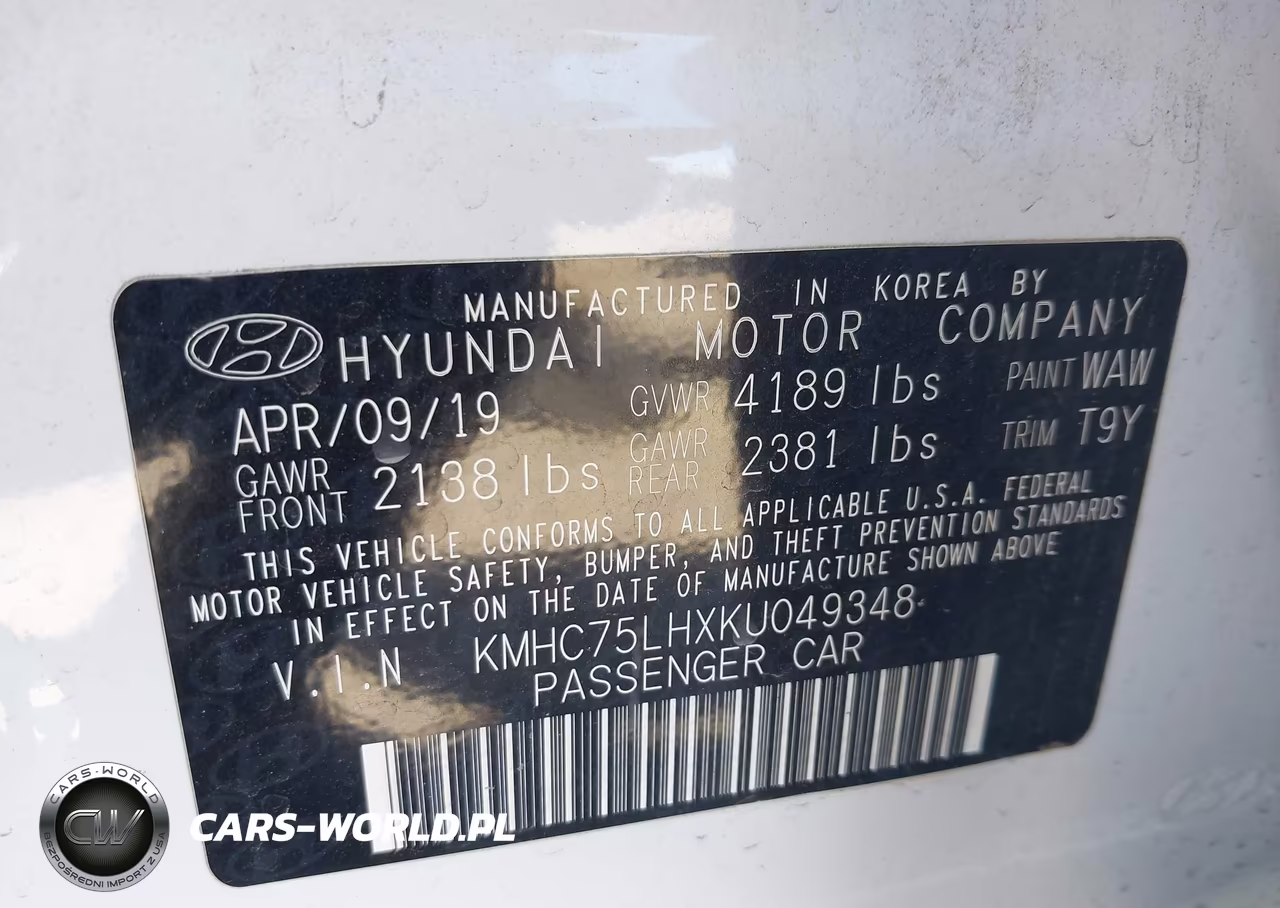 2019 Hyundai Ioniq Electric VIN:KMHC75LHXKU049348 - 9