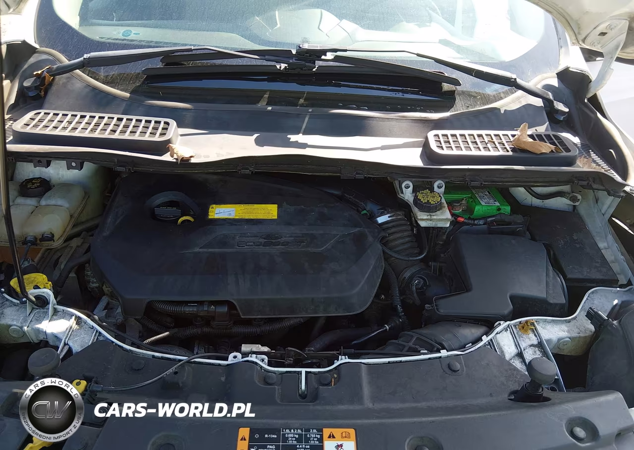 2015 Ford Escape Se VIN:1FMCU0GX7FUB46073 - 10