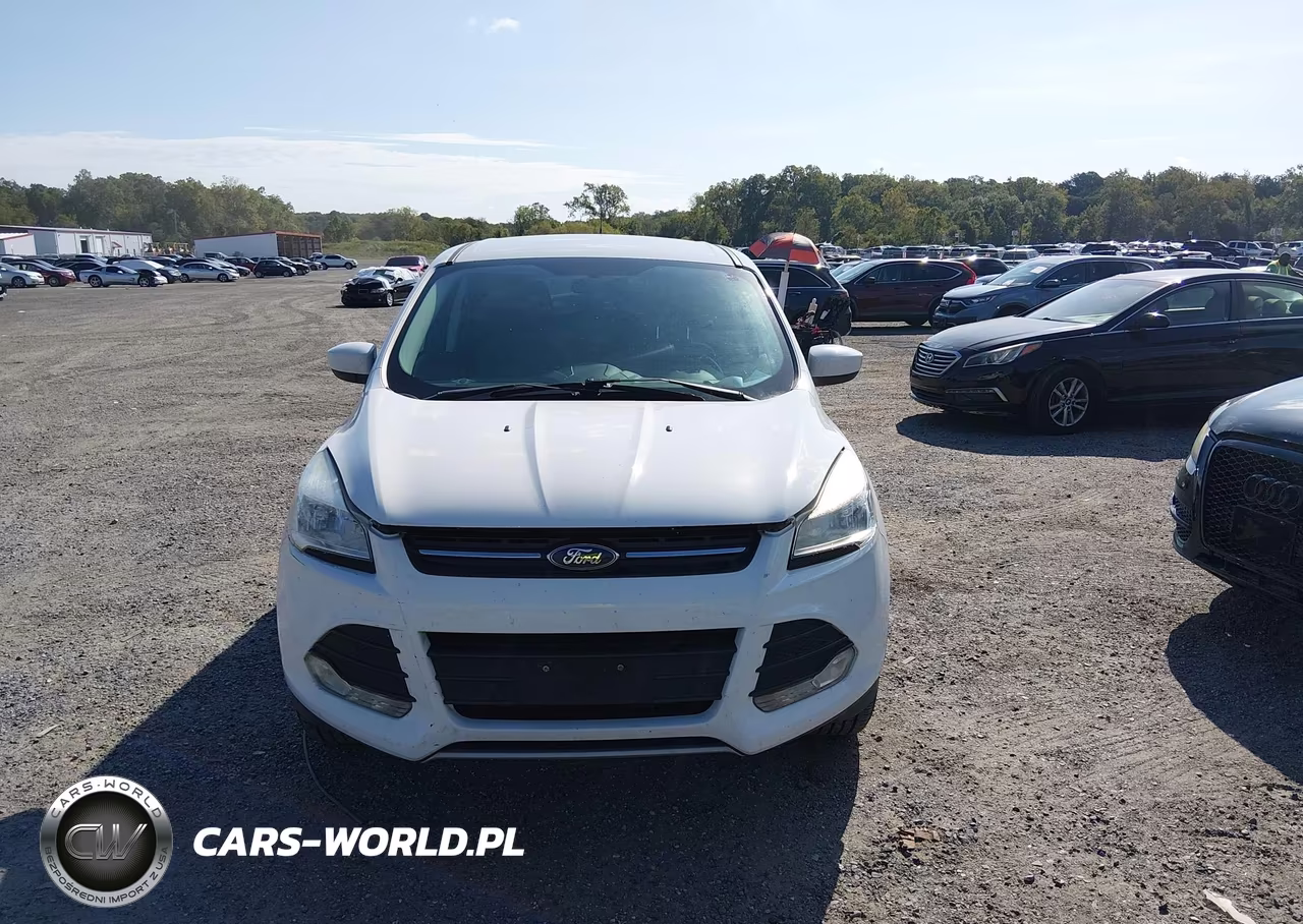 2015 Ford Escape Se VIN:1FMCU0GX7FUB46073 - 12