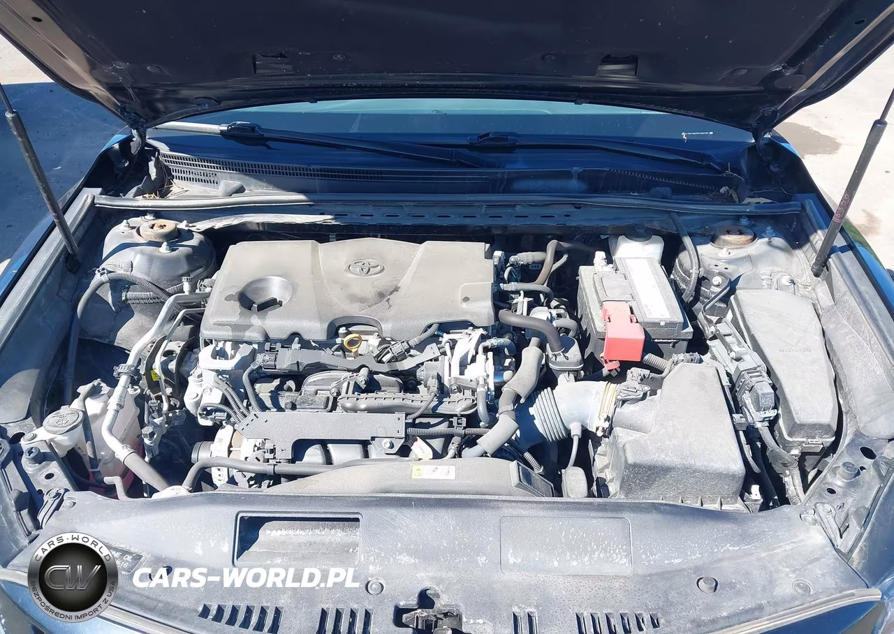 2019 Toyota Camry Se VIN:4T1B11HK2KU264295 - 10
