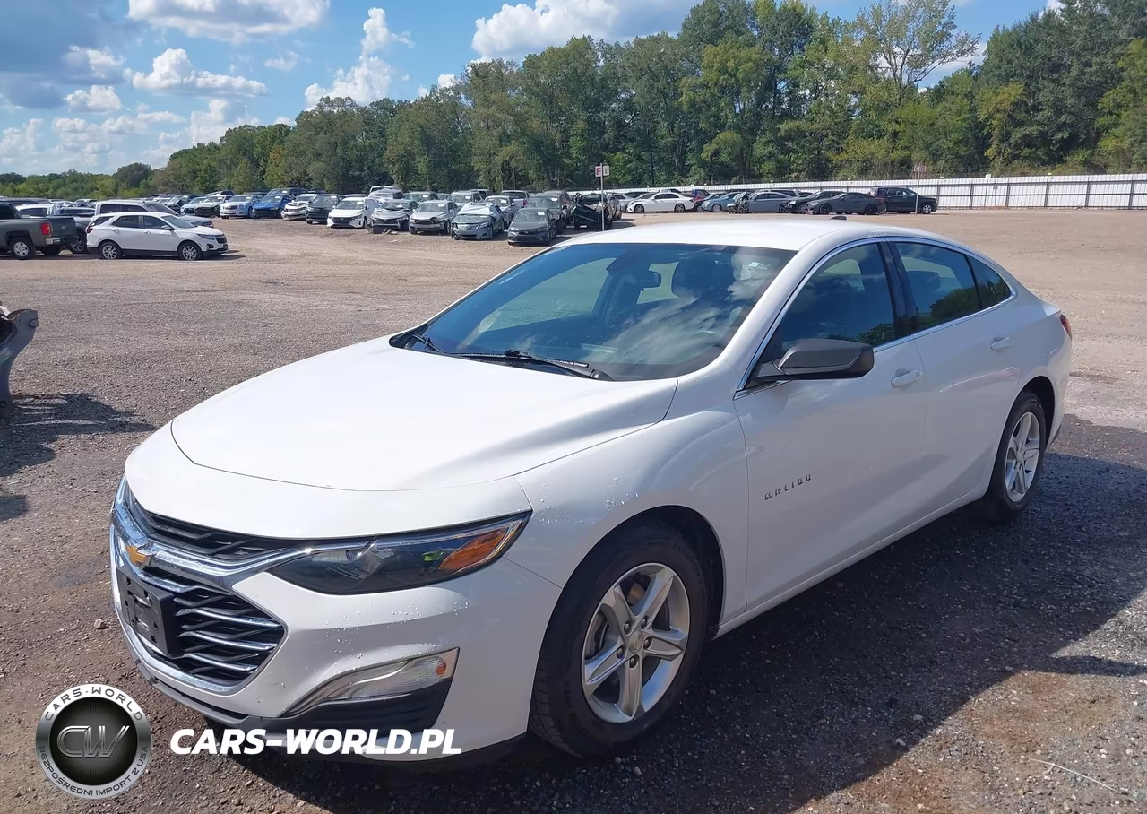 2020 Chevrolet Malibu Fwd 1Fl VIN:1G1ZC5ST6LF138509 - 2