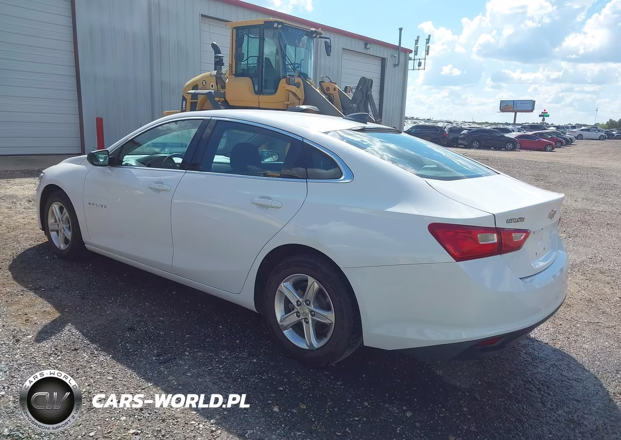 2020 Chevrolet Malibu Fwd 1Fl VIN:1G1ZC5ST6LF138509 - 3