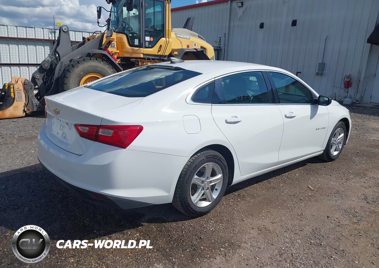 2020 Chevrolet Malibu Fwd 1Fl VIN:1G1ZC5ST6LF138509 - 4