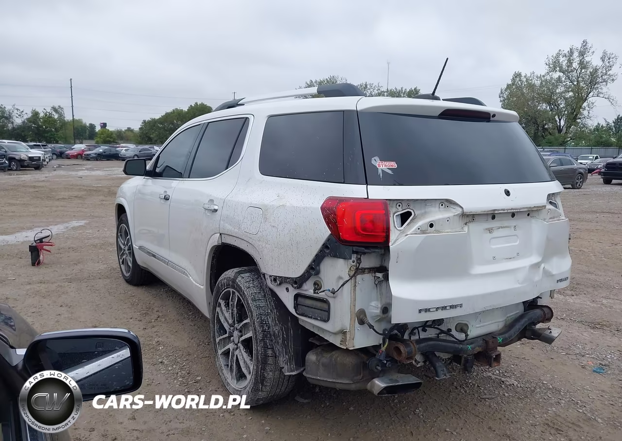 2017 GMC Acadia Denali VIN:1GKKNXLS6HZ286934 - 3
