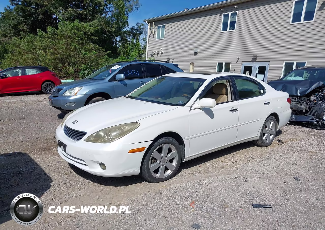 2005 Lexus Es 330 VIN:JTHBA30G155061094 - 2