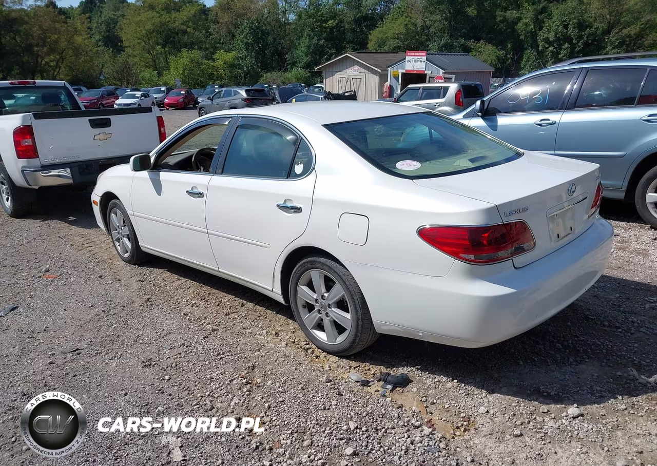 2005 Lexus Es 330 VIN:JTHBA30G155061094 - 3