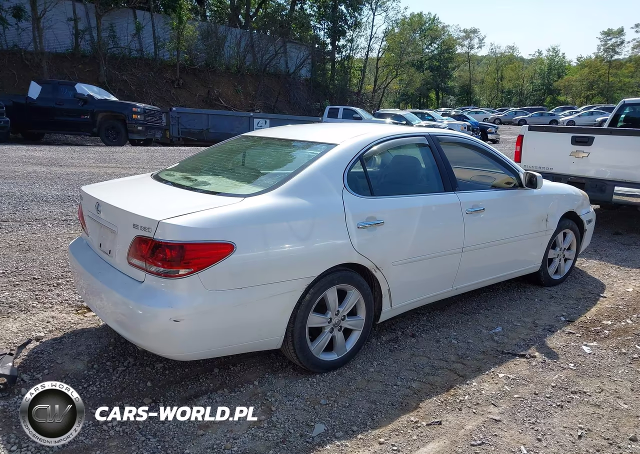 2005 Lexus Es 330 VIN:JTHBA30G155061094 - 4