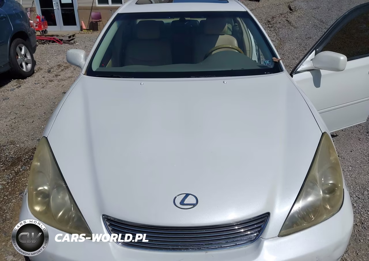 2005 Lexus Es 330 VIN:JTHBA30G155061094 - 6