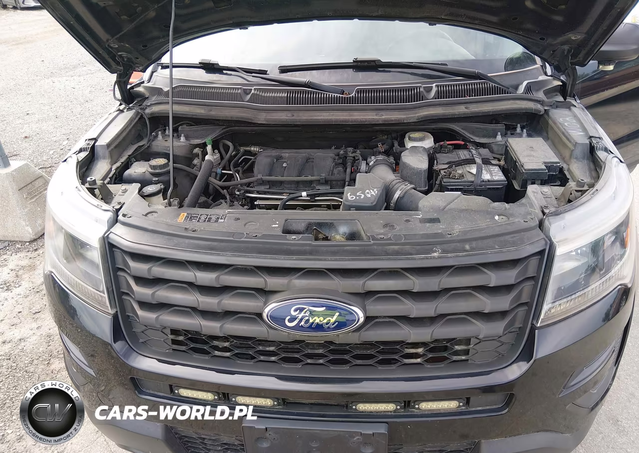 2019 Ford Police Interceptor Utility VIN:1FM5K8AR4KGA29308 - 10