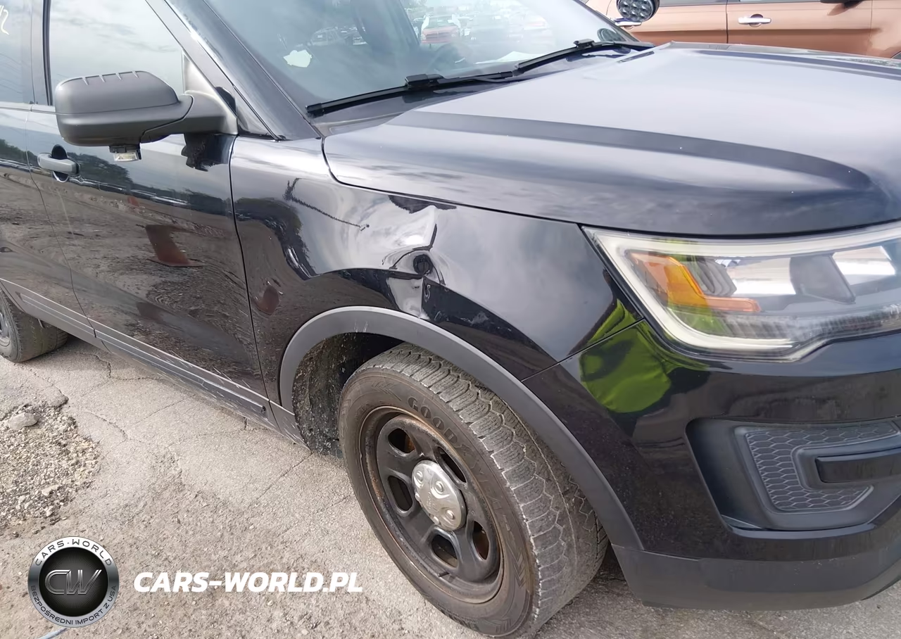 2019 Ford Police Interceptor Utility VIN:1FM5K8AR4KGA29308 - 6