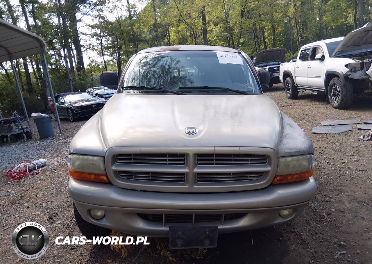 1999 Dodge Dakota Slt-Sport VIN:1B7GG22Y6XS174100 - 12