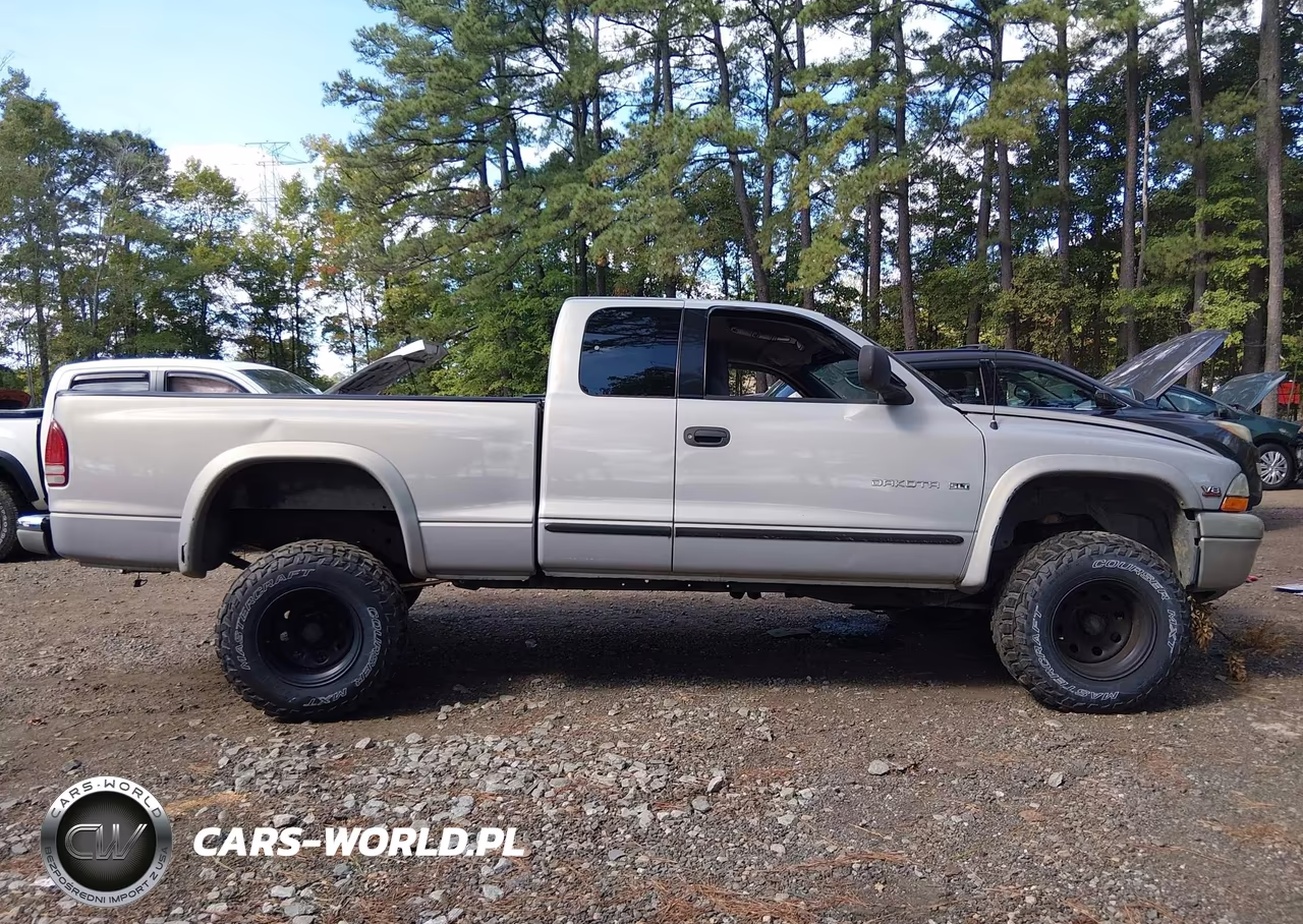 1999 Dodge Dakota Slt-Sport VIN:1B7GG22Y6XS174100 - 13
