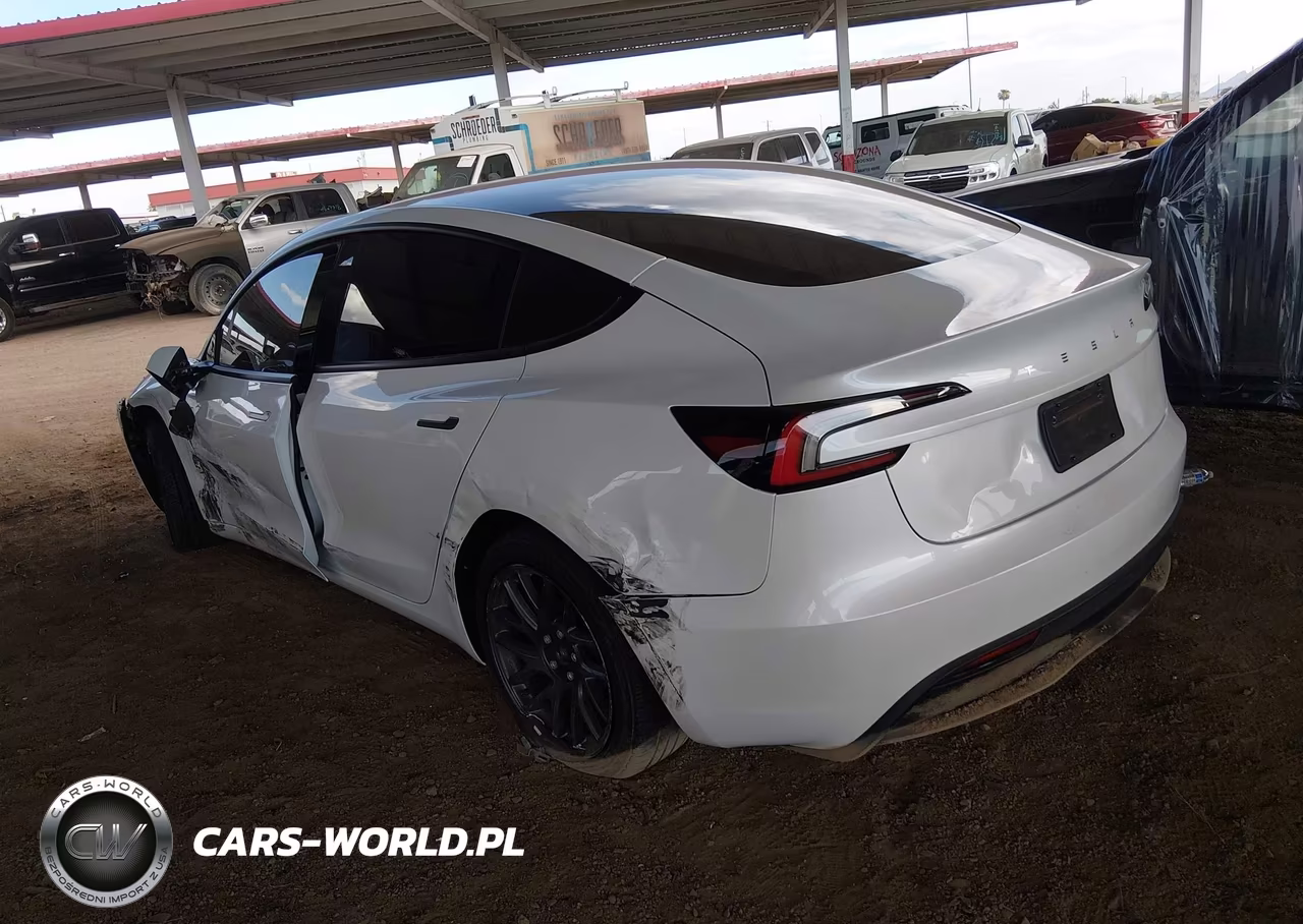 2025 Tesla Model 3 Long Range Rear-Wheel Drive-Standard VIN:5YJ3E1EA5SF039855 - 3
