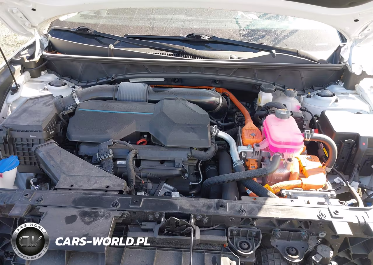 2024 Hyundai Tucson Hybrid Limited VIN:KM8JECD16RU240777 - 10