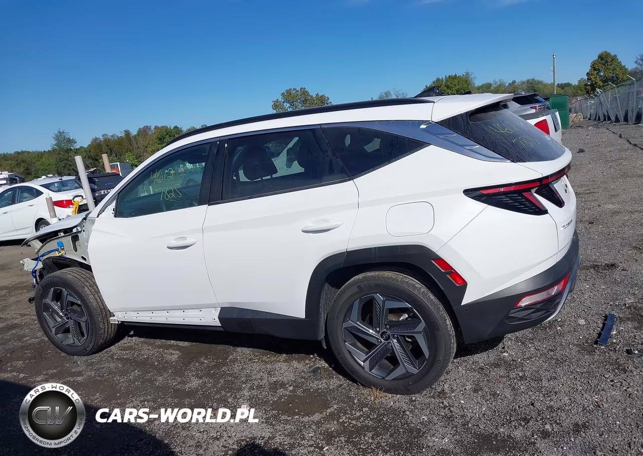 2024 Hyundai Tucson Hybrid Limited VIN:KM8JECD16RU240777 - 15