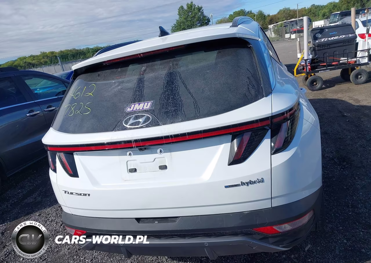 2024 Hyundai Tucson Hybrid Limited VIN:KM8JECD16RU240777 - 17