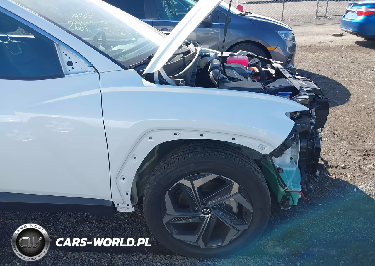 2024 Hyundai Tucson Hybrid Limited VIN:KM8JECD16RU240777 - 19