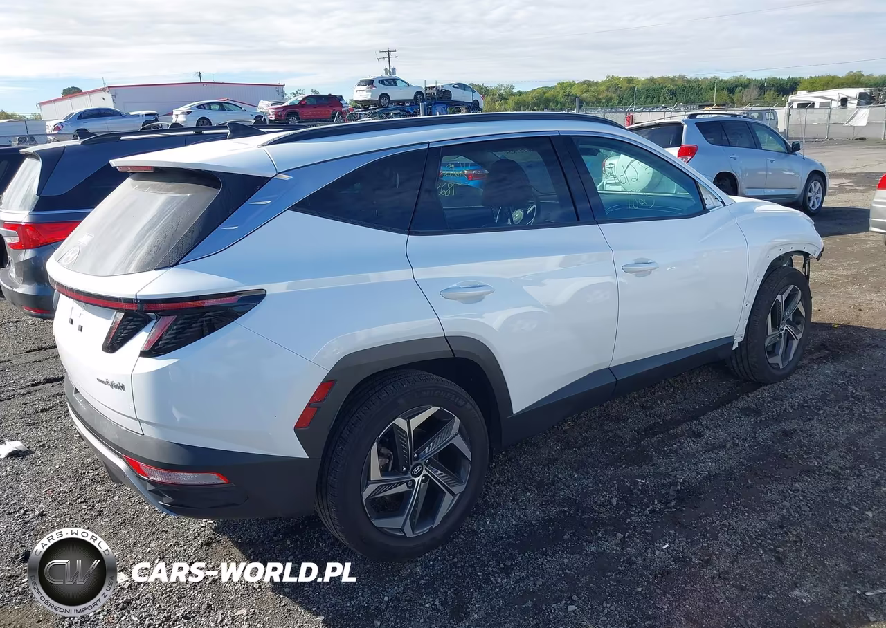 2024 Hyundai Tucson Hybrid Limited VIN:KM8JECD16RU240777 - 4