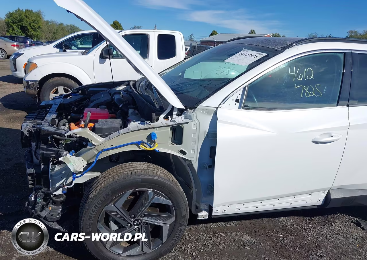 2024 Hyundai Tucson Hybrid Limited VIN:KM8JECD16RU240777 - 6