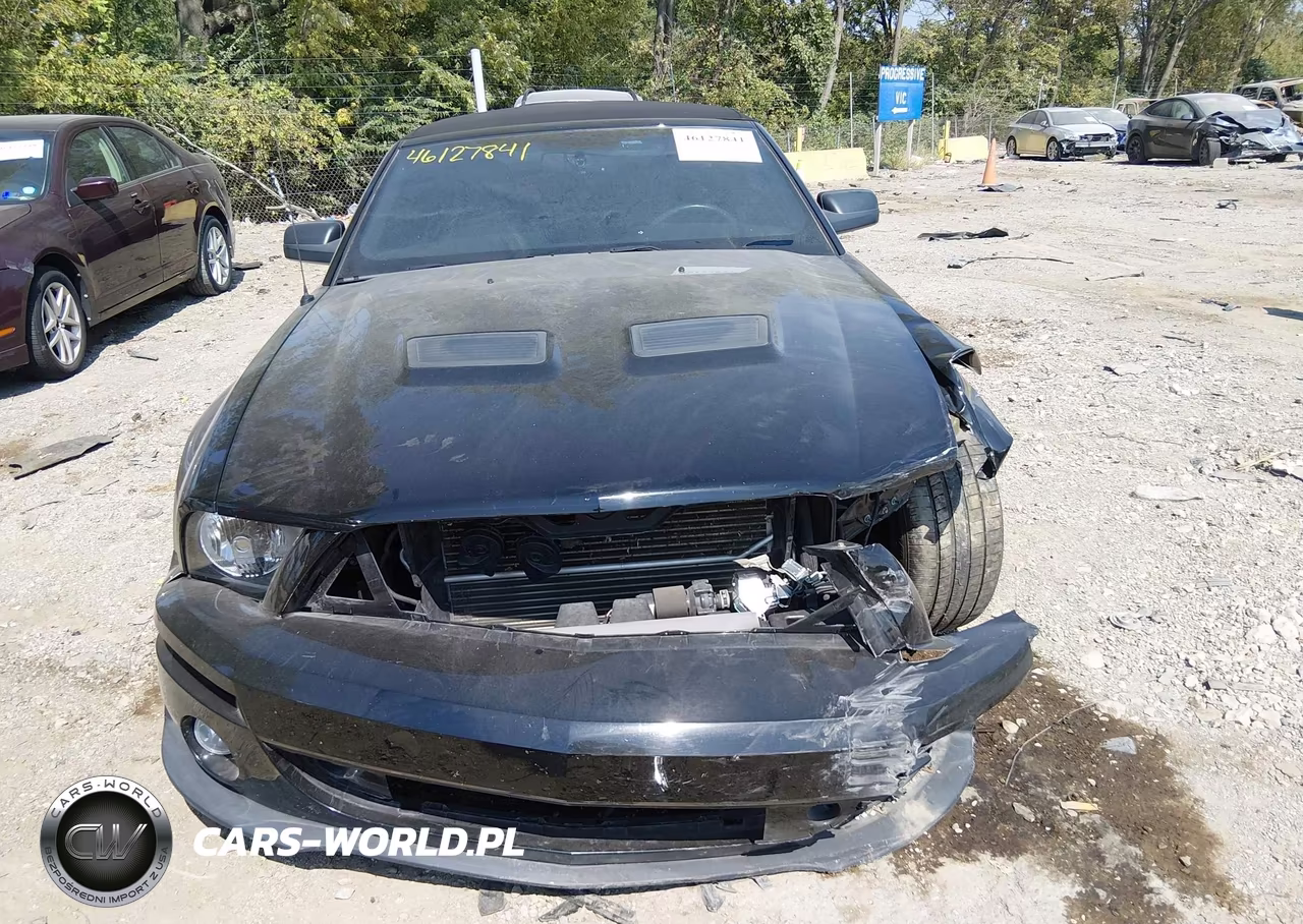 2008 Ford Mustang VIN:1ZVHT89S685172414 - 12