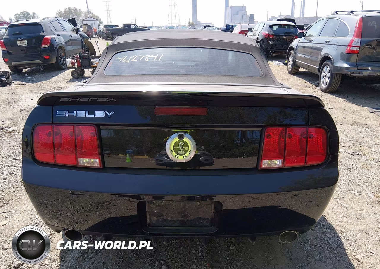 2008 Ford Mustang VIN:1ZVHT89S685172414 - 16