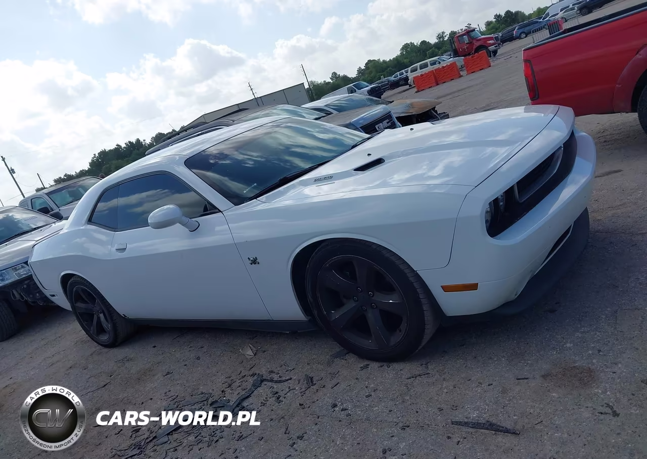 2014 Dodge Challenger R-T Plus VIN:2C3CDYBT3EH273965 - 12