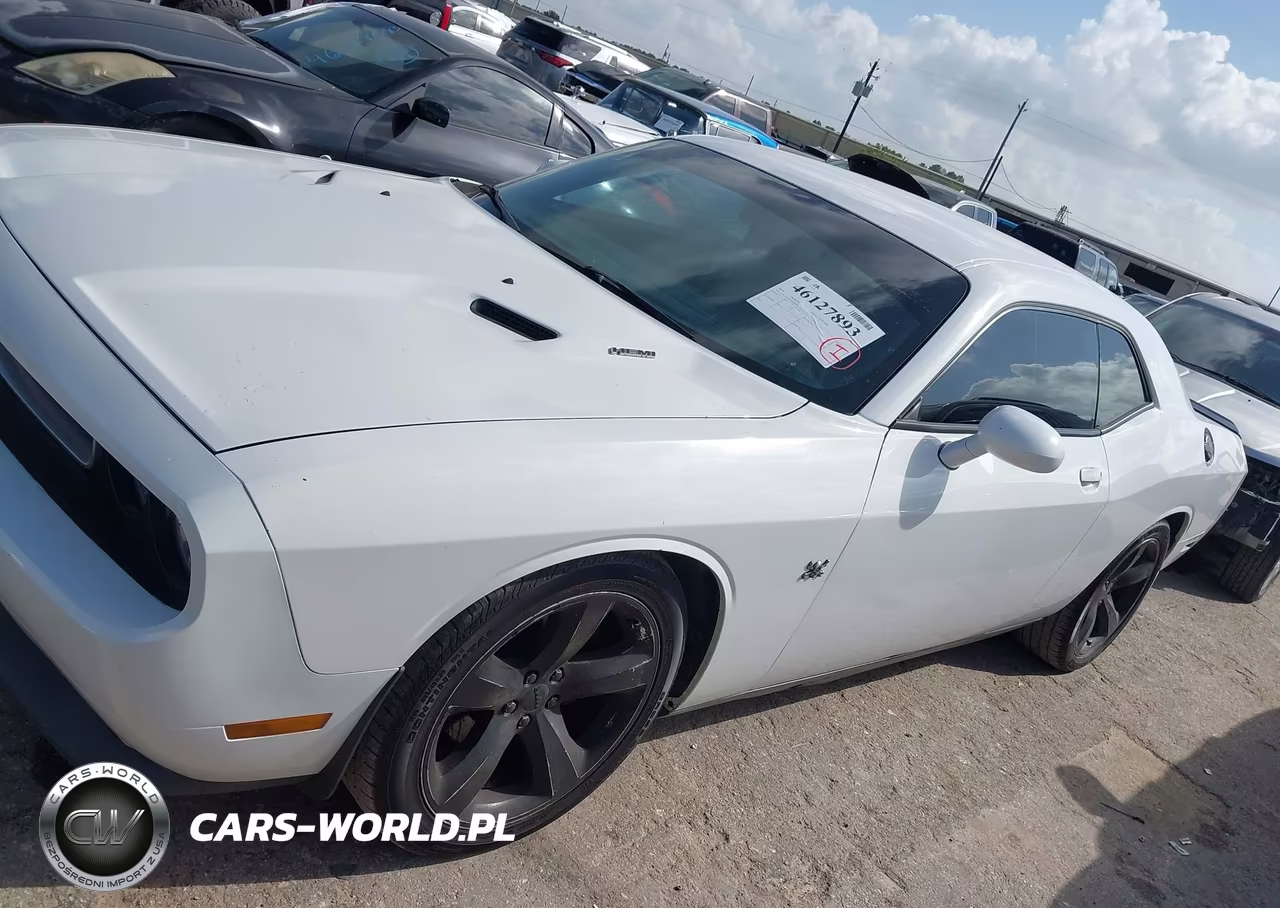 2014 Dodge Challenger R-T Plus VIN:2C3CDYBT3EH273965 - 13