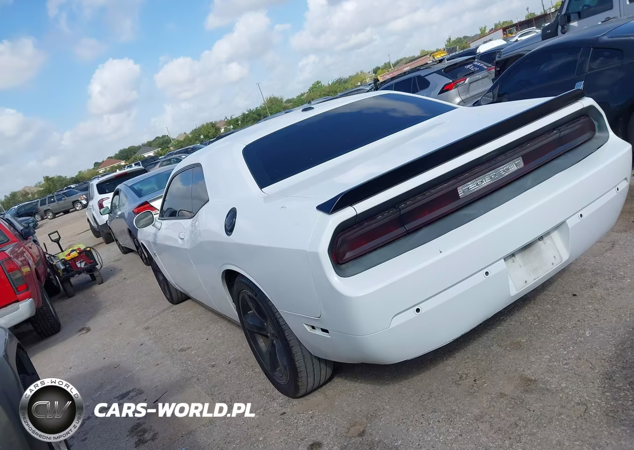 2014 Dodge Challenger R-T Plus VIN:2C3CDYBT3EH273965 - 3